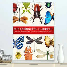 Kalender Die schönsten Insekten (Premium, hochwertiger DIN A2 Wandkalender 2022, Kunstdruck in Hochglanz) von Wildlife Art Print