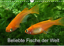 Kalender Beliebte Fische der Welt (Wandkalender 2022 DIN A4 quer) von Rudolf Pohlmann
