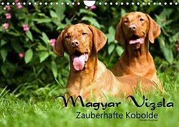 Kalender Magyar Vizsla - Zauberhafte Kobolde (Wandkalender 2022 DIN A4 quer) von Kerstin Grüttner
