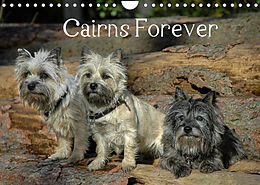 Kalender Cairns Forever (Wandkalender 2022 DIN A4 quer) von homwico