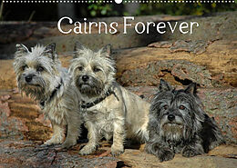Kalender Cairns Forever (Wandkalender 2022 DIN A2 quer) von homwico