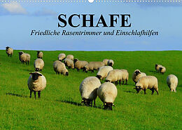 Kalender Schafe. Friedliche Rasentrimmer und Einschlafhilfen (Wandkalender 2022 DIN A2 quer) von Elisabeth Stanzer