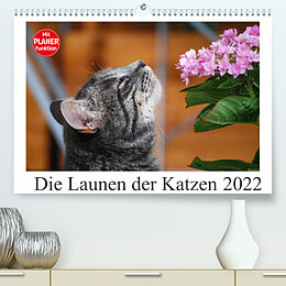 Kalender Die Launen der Katzen 2022 (Premium, hochwertiger DIN A2 Wandkalender 2022, Kunstdruck in Hochglanz) von Anna Kropf