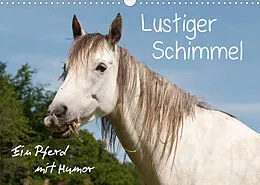 Kalender Lustiger Schimmel - ein Pferd mit Humor (Wandkalender 2022 DIN A3 quer) von Meike Bölts