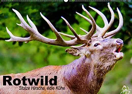 Kalender Rotwild. Edle Hirsche, stolze Kühe (Wandkalender 2022 DIN A2 quer) von Elisabeth Stanzer