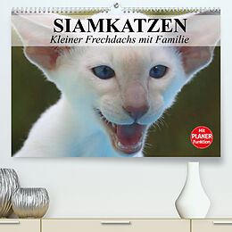 Kalender Siamkatzen - Kleiner Frechdachs mit Familie (Premium, hochwertiger DIN A2 Wandkalender 2022, Kunstdruck in Hochglanz) von Elisabeth Stanzer