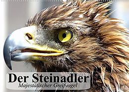 Kalender Der Steinadler. Majestätischer Greifvogel (Wandkalender 2022 DIN A2 quer) von Elisabeth Stanzer