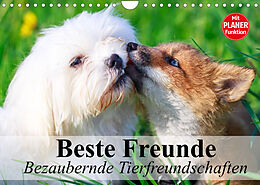 Kalender Beste Freunde. Bezaubernde Tierfreundschaften (Wandkalender 2022 DIN A4 quer) von Elisabeth Stanzer