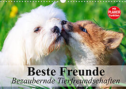 Kalender Beste Freunde. Bezaubernde Tierfreundschaften (Wandkalender 2022 DIN A3 quer) von Elisabeth Stanzer