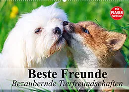 Kalender Beste Freunde. Bezaubernde Tierfreundschaften (Wandkalender 2022 DIN A2 quer) von Elisabeth Stanzer
