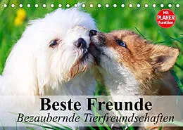 Kalender Beste Freunde. Bezaubernde Tierfreundschaften (Tischkalender 2022 DIN A5 quer) von Elisabeth Stanzer