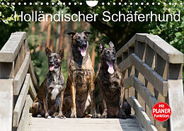 Kalender Holländischer Schäferhund (Wandkalender 2022 DIN A4 quer) von Fotodesign Verena Scholze