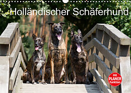 Kalender Holländischer Schäferhund (Wandkalender 2022 DIN A3 quer) von Fotodesign Verena Scholze