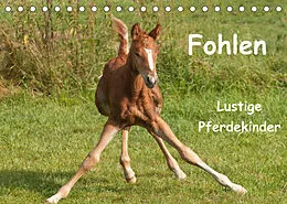 Kalender Fohlen - Lustige Pferdekinder (Tischkalender 2022 DIN A5 quer) von Meike Bölts