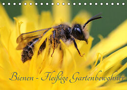 Kalender Bienen - Fleißige Gartenbewohner (Tischkalender 2022 DIN A5 quer) von Silvia Hahnefeld