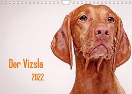 Kalender Der Vizsla 2022 (Wandkalender 2022 DIN A4 quer) von Susanne Stark