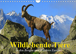 Kalender Wildlebende Tiere in den Bergen und Wäldern Europas (Wandkalender 2022 DIN A4 quer) von Elisabeth Stanzer