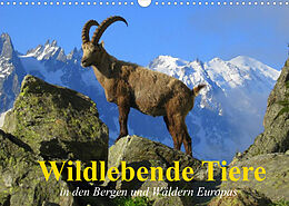 Kalender Wildlebende Tiere in den Bergen und Wäldern Europas (Wandkalender 2022 DIN A3 quer) von Elisabeth Stanzer