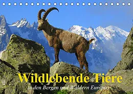 Kalender Wildlebende Tiere in den Bergen und Wäldern Europas (Tischkalender 2022 DIN A5 quer) von Elisabeth Stanzer