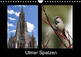Kalender Ulmer Spatzen (Wandkalender 2022 DIN A4 quer) von Kattobello