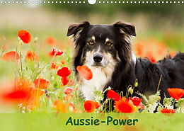 Kalender Aussie-Power (Wandkalender 2022 DIN A3 quer) von Andrea Mayer