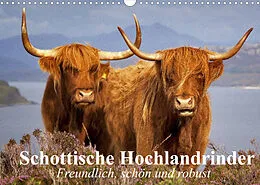 Kalender Schottische Hochlandrinder. Freundlich, schön und robust (Wandkalender 2022 DIN A3 quer) von Elisabeth Stanzer
