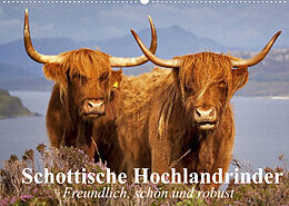 Kalender Schottische Hochlandrinder. Freundlich, schön und robust (Wandkalender 2022 DIN A2 quer) von Elisabeth Stanzer
