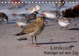Kalender Limikolen Watvögel auf dem Zug (Tischkalender 2022 DIN A5 quer) von Winfried Erlwein