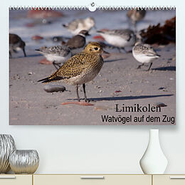 Kalender Limikolen Watvögel auf dem Zug (Premium, hochwertiger DIN A2 Wandkalender 2022, Kunstdruck in Hochglanz) von Winfried Erlwein