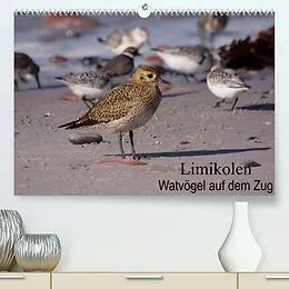 Kalender Limikolen Watvögel auf dem Zug (Premium, hochwertiger DIN A2 Wandkalender 2022, Kunstdruck in Hochglanz) von Winfried Erlwein