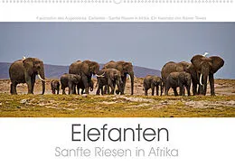 Kalender Elefanten - Sanfte Riesen in Afrika (Wandkalender 2022 DIN A2 quer) von Rainer Tewes