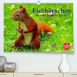 Kalender Eichhörnchen. Wo sind bloß die Nüsse? (Premium, hochwertiger DIN A2 Wandkalender 2022, Kunstdruck in Hochglanz) von Elisabeth Stanzer