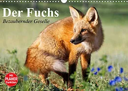 Kalender Der Fuchs. Bezaubernder Geselle (Wandkalender 2022 DIN A3 quer) von Elisabeth Stanzer