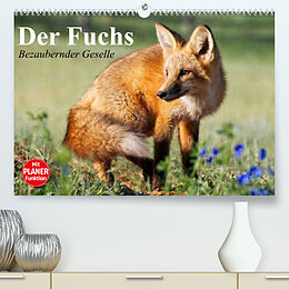 Kalender Der Fuchs. Bezaubernder Geselle (Premium, hochwertiger DIN A2 Wandkalender 2022, Kunstdruck in Hochglanz) von Elisabeth Stanzer