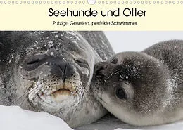 Kalender Seehunde und Otter. Putzige Gesellen, perfekte Schwimmer (Wandkalender 2022 DIN A3 quer) von Elisabeth Stanzer