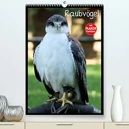 Kalender Raubvögel (Premium, hochwertiger DIN A2 Wandkalender 2022, Kunstdruck in Hochglanz) von Arno Klatt