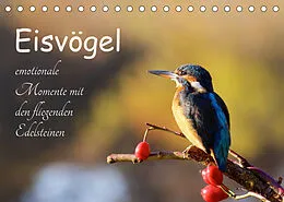 Kalender Eisvögel - emotionale Momente mit den fliegenden Edelsteinen (Tischkalender 2022 DIN A5 quer) von Jens Kalanke