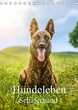 Kalender Hundeleben Schäferhund (Tischkalender 2022 DIN A5 hoch) von Schuberts-Fotografie