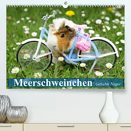 Kalender Meerschweinchen. Geliebte Nager (Premium, hochwertiger DIN A2 Wandkalender 2022, Kunstdruck in Hochglanz) von Elisabeth Stanzer