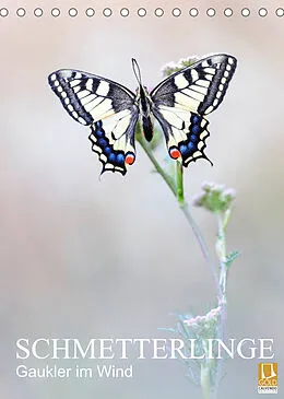 Kalender Schmetterlinge - Gaukler im Wind (Tischkalender 2022 DIN A5 hoch) von Anton Simon