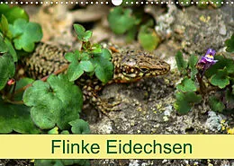 Kalender Flinke Eidechsen (Wandkalender 2022 DIN A3 quer) von Kattobello
