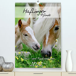 Kalender Haflinger Pferde - Stall- und Familienplaner 2022 (Premium, hochwertiger DIN A2 Wandkalender 2022, Kunstdruck in Hochglanz) von Natural-Golden.de