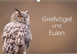 Kalender Greifvögel und Eulen (Wandkalender 2022 DIN A3 quer) von Markus van Hauten