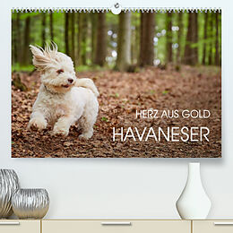 Kalender Havaneser - Herz aus Gold (Premium, hochwertiger DIN A2 Wandkalender 2022, Kunstdruck in Hochglanz) von Peter Mayer