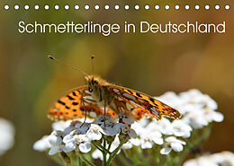Kalender Schmetterlinge in Deutschland (Tischkalender 2022 DIN A5 quer) von Thomas Freiberg - Fotografie Licht &amp; Schatten