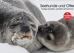 Kalender Seehunde und Otter. Putzige Gesellen, perfekte Schwimmer (Wandkalender 2022 DIN A2 quer) von Elisabeth Stanzer