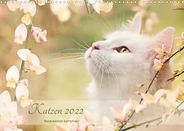 Kalender Katzen 2022 Bezaubernde Samtpfoten (Wandkalender 2022 DIN A3 quer) von Janice Pohle