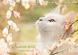 Kalender Katzen 2022 Bezaubernde Samtpfoten (Tischkalender 2022 DIN A5 quer) von Janice Pohle