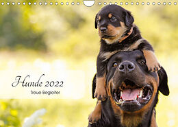 Kalender Hunde 2022 - Treue Begleiter (Wandkalender 2022 DIN A4 quer) von Janice Pohle