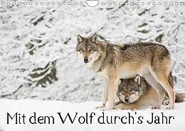 Kalender Mit dem Wolf durch's Jahr (Wandkalender 2022 DIN A4 quer) von Wilfried Martin